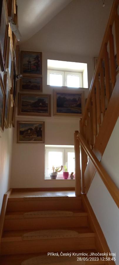 Vila Hesha Appartement Český Krumlov Buitenkant foto